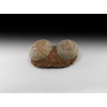 Natural History Hadrosaur Dinosaur Egg Pair