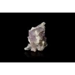 Natural History - Amethyst Crystal Flower Mineral Specimen