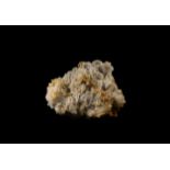 Natural History - Cave Calcite Stalagmite Mineral Specimen