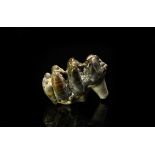 Natural History - Fossil Mastodon Tooth