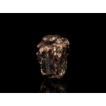 Natural History - Large Brown Tourmaline Mineral Specimen