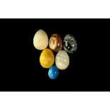 Natural History - Polished Mineral Egg Group