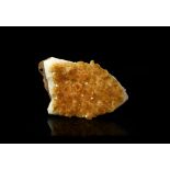 Natural History - Large Citrine Crystal Display Section