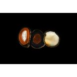 Natural History - Cut and Polished Agate Geode Slice Group