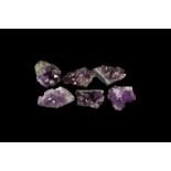 Natural History - Brazil Amethyst Crystal Groups