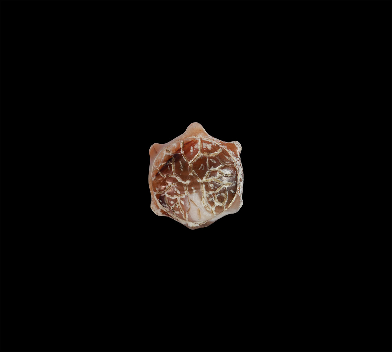Islamic Tortoise Amulet