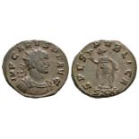 Roman Imperial Coins - Carus - Spes Antoninianus