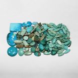 Natural History - Turquoise Gemstone Collection