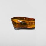 Natural History - Large Polished Amber with Spiders and Flies