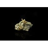 Natural History - Calcite Crystal Mineral Specimen