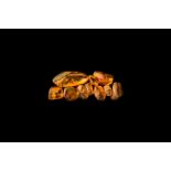 Natural History - Insects in Baltic Amber Group