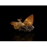 Natural History - UK Historic Ladywash Mine, Derbyshire Dogtooth Calcite Mineral Specimen