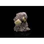 Natural History - Amethyst Crystal Mineral Specimen