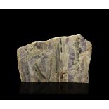 Natural History - Large Cut Amethyst Mineral Slab