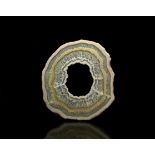 Natural History - Large Cut and Polished Crystal Geode Slice