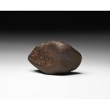 Natural History Complete Undamaged Meteorite