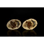 Natural History - Australia Cut and Polished Thunder Egg Pair