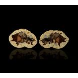 Natural History - Australia Cut and Polished Thunder Egg Pair