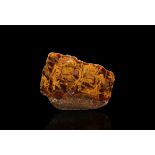 Natural History - Australian Domal Stromatolite Polished Slice