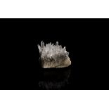 Natural History - Quartz Crystal Mineral Specimen