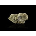 Natural History - Pyrite Landscape Slab Mineral Specimen