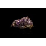 Natural History - Large Amethyst Display Section