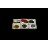 Natural History - Polished Mineral Specimen Collection