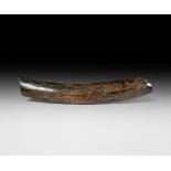 Mammoth Tusk Section