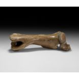 Woolly Rhinoceros Leg Bone