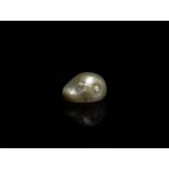 11.7 Carat Freshwater Pearl