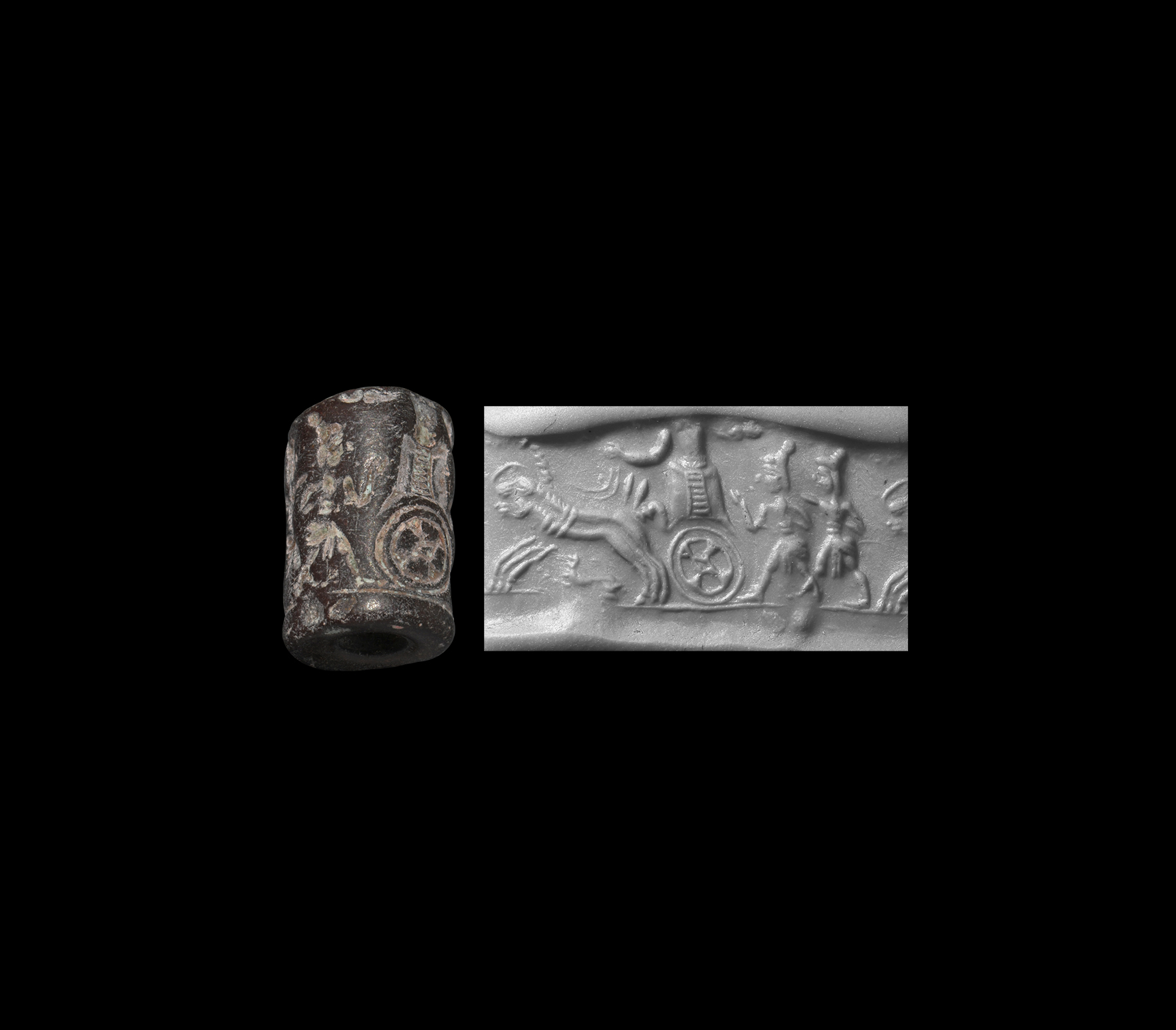 Cylinder Seal Section with Chariot