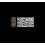 Serpentine Cylinder Seal with Geometric Design