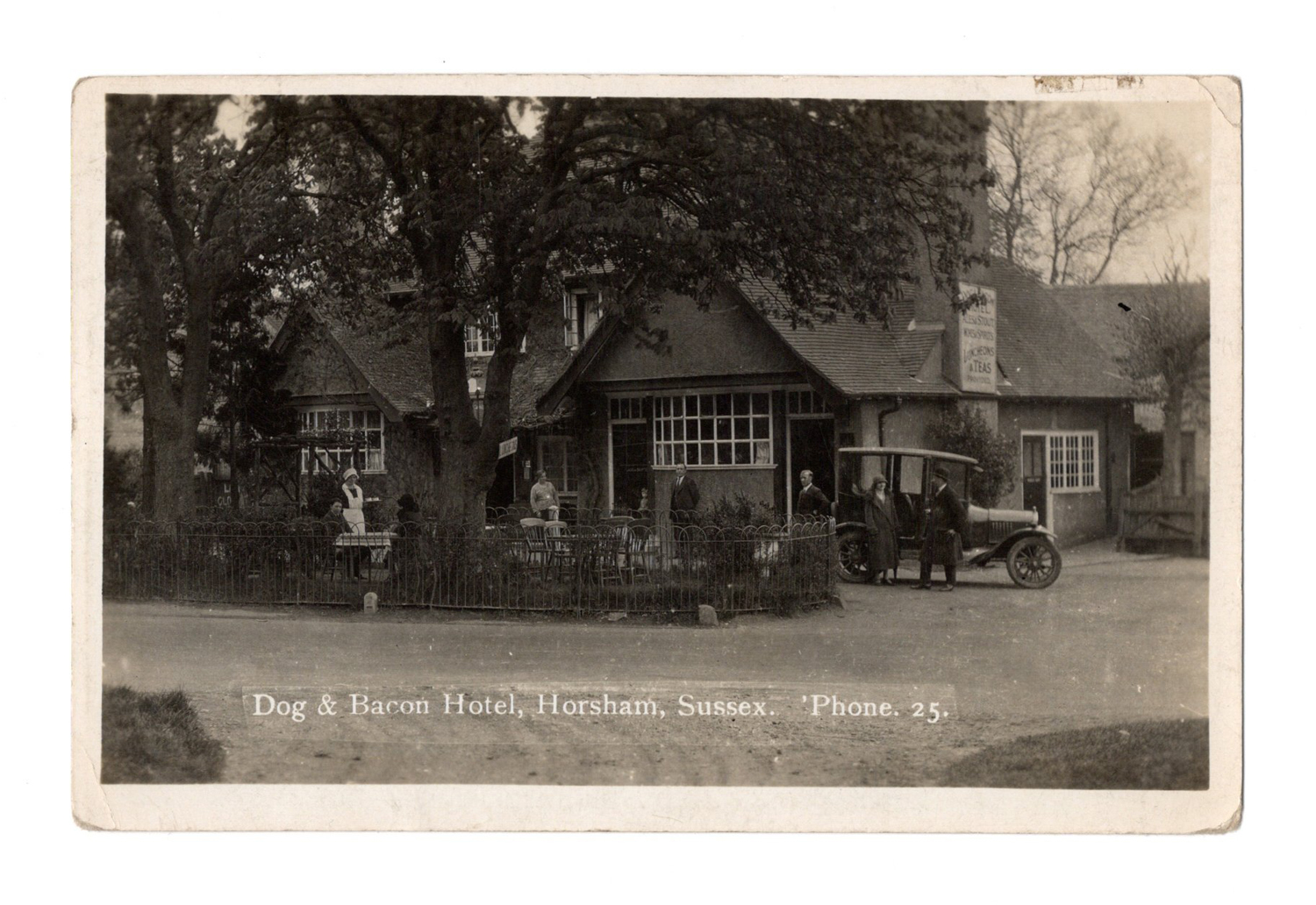 A collection of 19 photographic postcards of Horsham, West Sussex, including postcards titled 'Dog &