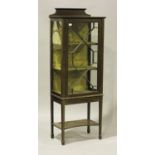 An Edwardian mahogany display cabinet with boxwood line inlaid decoration, fitted with a single