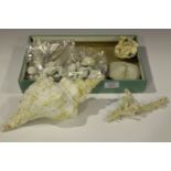 A small group of seashell and coral specimens.Buyer’s Premium 29.4% (including VAT @ 20%) of the