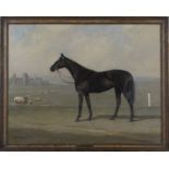 Nevinson Arthur Loraine - 'Aboyeur, Derby Winner, 1913' (Portrait of the Racehorse near Stonehenge),
