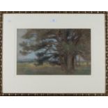 Edward Stott - 'Trees near Amberley', late 19th/early 20th century pastel, titled Abbott and