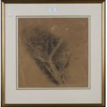 Edward Stott - Tree Study, late 19th/early 20th century charcoal with pastel, Abbott and Holder