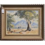 Alfred Gant - Gumtrees, Wilpena, Australia, oil on board, signed and dated 1962 recto, labels verso,