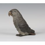 A late 19th/early 20th century Austrian cold painted cast bronze model of an African grey parrot, in