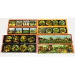 A collection of Primus magic lantern slides, all with printed and coloured scenes, including an