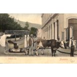 A collection of 89 mainly tinted postcards, including 62 views of England, 10 of Madeira and 17