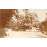 A collection of 17 postcards of Ashford, Middlesex, mostly of the Old Town Tree.Buyer’s Premium 29.
