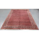 A Sparta carpet, West Anatolia, mid-20th century, the pink field with overall offset rows of