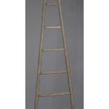 An early 20th century French ash eight-rung apple ladder of typical tapering form, height 265cm.