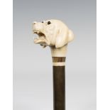 A late 19th/early 20th century ivory handled walking stick, the substantial handle finely modelled