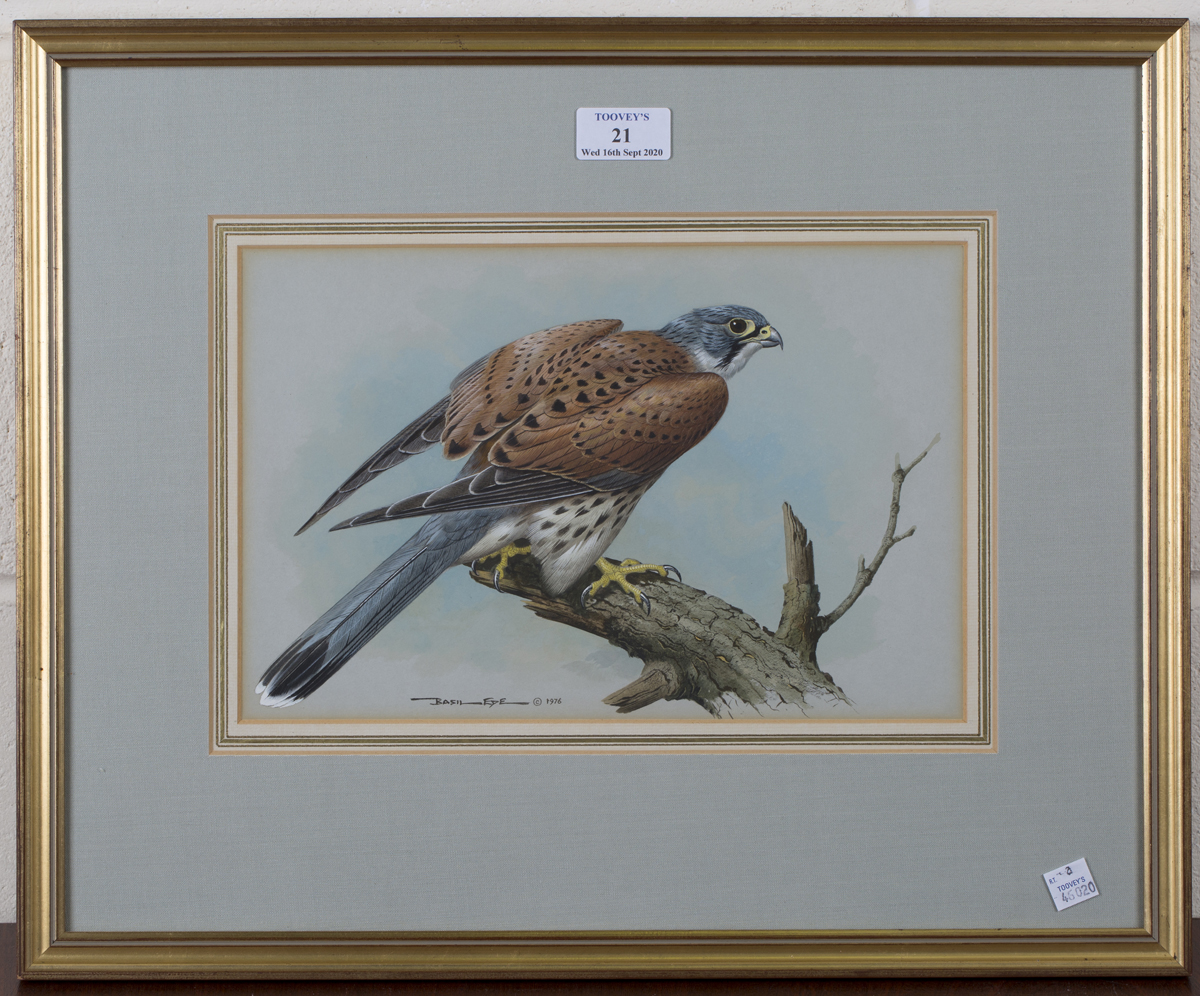 Basil Ede - 'Kestrel', watercolour and gouache, signed and dated 1976 recto, titled Moorland Gallery - Image 4 of 4