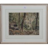 William Warden - 'Wood in Wales', watercolour, signed recto, titled label verso, 28cm x 38cm, within