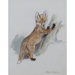 Eileen Alice Soper - Fox Cub pawing a Tree, watercolour and pencil, signed in ink, 34.5cm x 27cm,