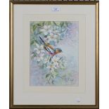 Warwick Higgs - Chaffinch among Spring Blossom, watercolour, signed, 30cm x 23cm, within a gilt